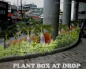 img_plant-box-center-rear-at-drop-off-copy